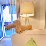 Home img 3789